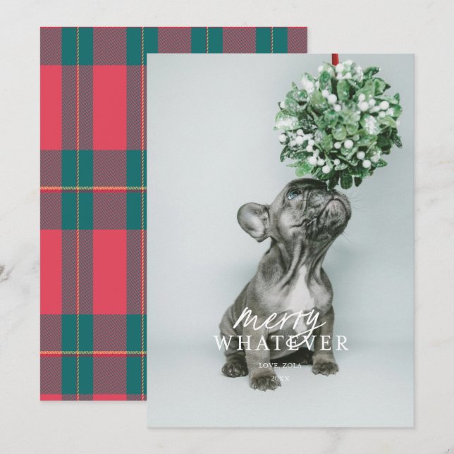 Joyeuse Carte de vacances photo pour animaux de co (Devant / Derrière)