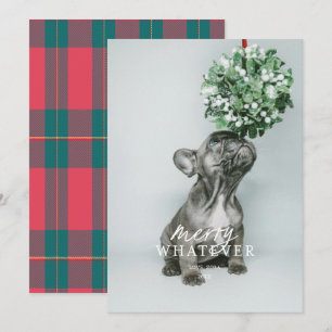 Joyeuse Carte de vacances photo pour animaux de co