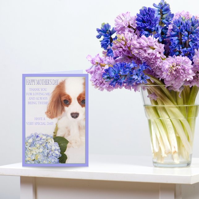 Joyeuse fête des Mères Cavalier avec carte d'horte (Créateur téléchargé)