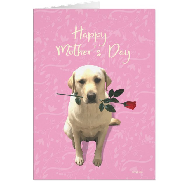 Joyeuse fête des mères, Rose de chiens du Labrador (Devant)