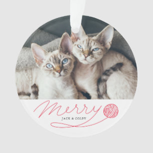 Joyeuse photo rouge lunatique de chat de manuscrit