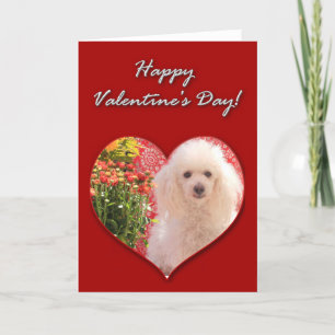 Joyeuse Saint-Valentin Carte Poodle