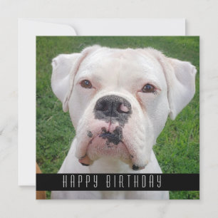 Joyeuses Cartes D'Anniversaire Avec Chiens, Ajoute