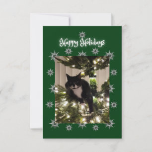 Joyeuses fêtes. Carte de Noël avec chat Tuxedo.