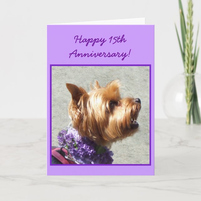 Joyeux 15e anniversaire Yorkshire Terrier carte (Devant)