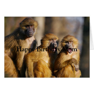 Joyeux Amour d'anniversaire de vos singes Fun Anim