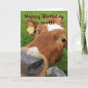 Joyeux anniversaire à la carte de voeux moo
