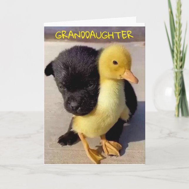 JOYEUX ANNIVERSAIRE À VOUS **GRAND-FILLE** CARTE (Devant)