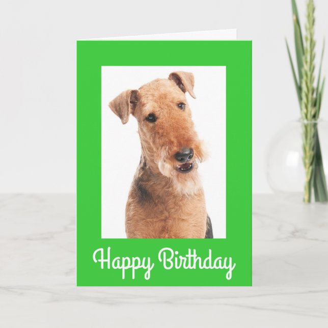 Joyeux Anniversaire Airedale Terrier Chien Carte d (Devant)