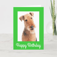 Joyeux Anniversaire Airedale Terrier Chien Carte d