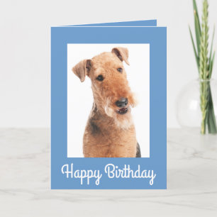 Joyeux Anniversaire Airedale Terrier Chien Carte d