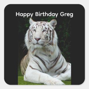 Joyeux Anniversaire Autocollant Carré Tigre Blanc