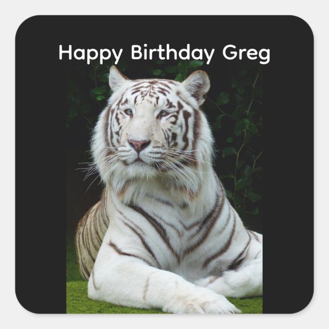 Joyeux Anniversaire Autocollant Carré Tigre Blanc (Devant)
