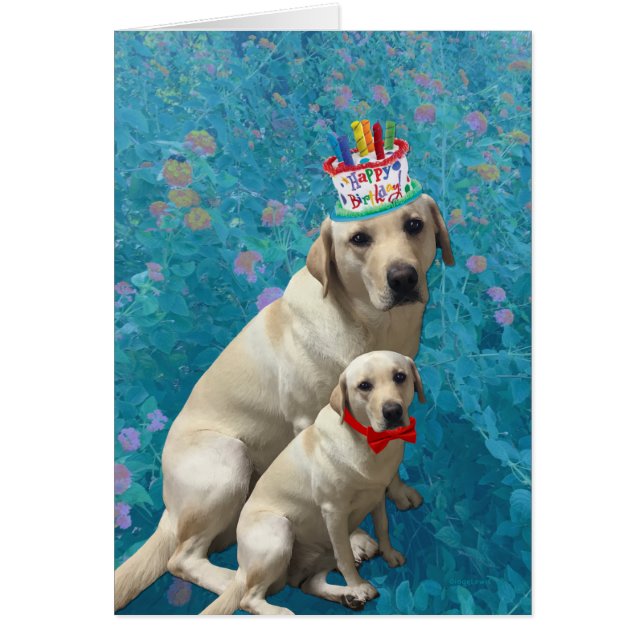 Joyeux anniversaire avec des chiens du Labrador, a (Devant)