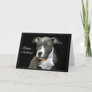 Joyeux Anniversaire bleu Pitbull Puppy carte de vo