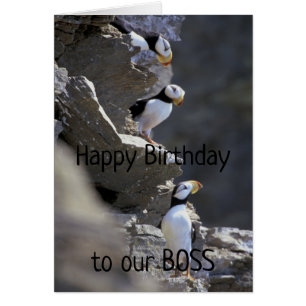 Joyeux anniversaire Boss Cute Puffin Oiseaux Humou