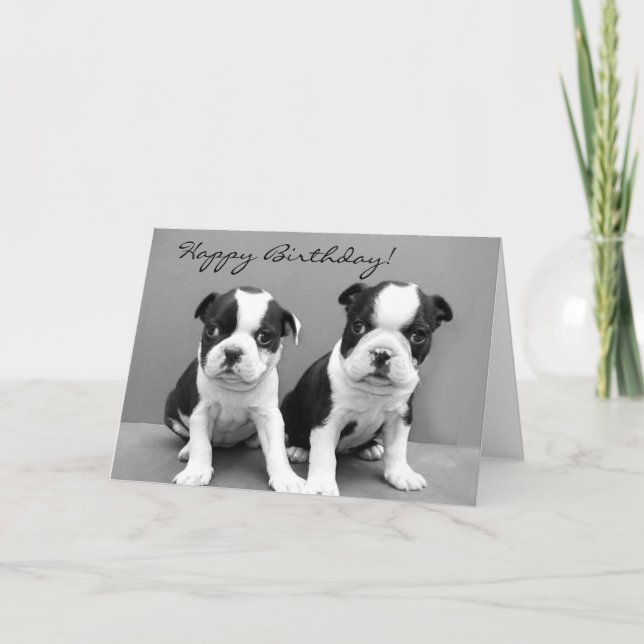Joyeux anniversaire Boston Terrier carte de voeux (Devant)