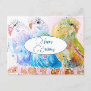 Joyeux Anniversaire Budgie Cartes Postales Oiseaux