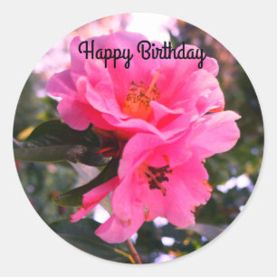 Joyeux Anniversaire Camellia rose #2-2 Stickers
