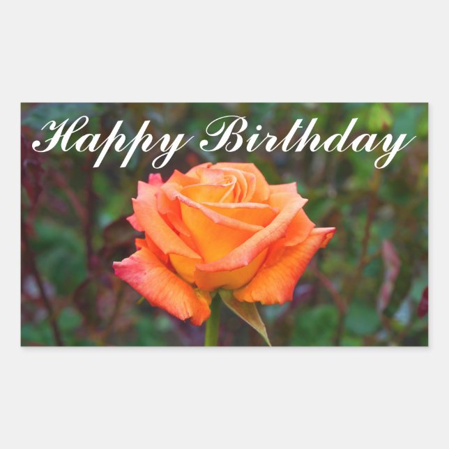 Joyeux Anniversaire Caraïbes Rose #2 Stickers (Devant)