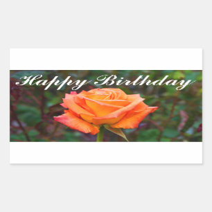 Joyeux Anniversaire Caraïbes Rose #2 Stickers