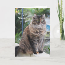 Joyeux anniversaire. Carte avec belle photo de cha