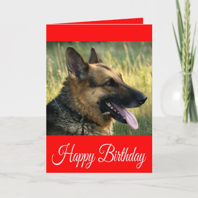 Joyeux Anniversaire Carte de Chien Coquelicot Alle (Devant)