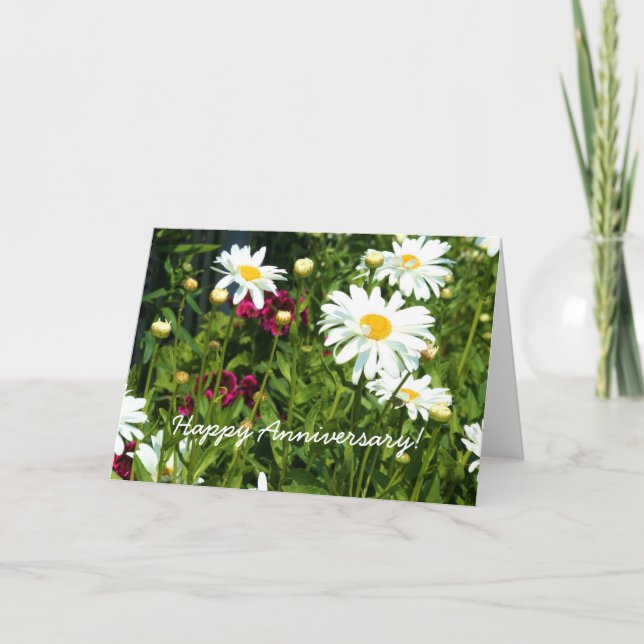 Joyeux Anniversaire Carte de vœux Shasta Daisy (Devant)