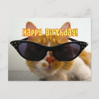 Joyeux Anniversaire - Carte Postale Chat Cool en L