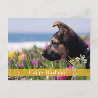 Joyeux anniversaire ! - carte postale chien