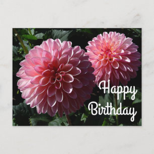Joyeux Anniversaire Carte Postale Dahlia Valley Po