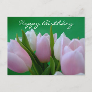 Joyeux anniversaire - Carte postale Tulips