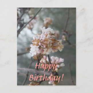 Joyeux anniversaire ! Carte postale (Winter Blosso