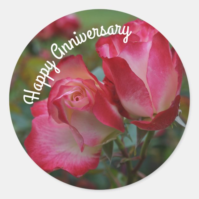 Joyeux Anniversaire Cerise Parfait #4 Stickers (Devant)