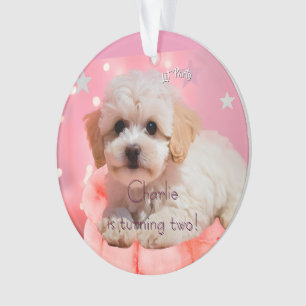 Joyeux Anniversaire Chien Faisons la Fête