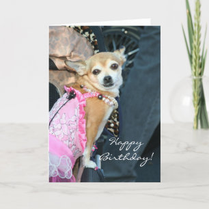 Joyeux anniversaire Chihuahua carte de voeux