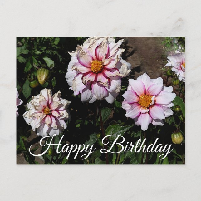 Joyeux Anniversaire Dahlia Edge of Joy #1 Carte po (Devant)