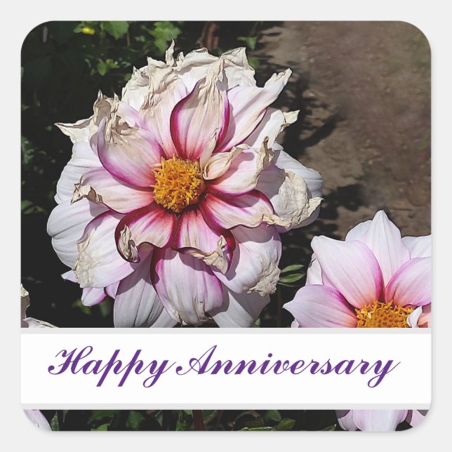 Joyeux anniversaire Dahlia Edge of Joy #1 Stickers (Devant)