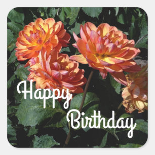 Joyeux Anniversaire Dahlia Pam Howden #1 Stickers