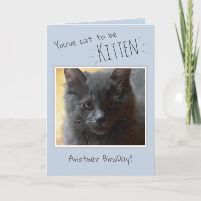 Joyeux anniversaire de la carte de chat (Devant)