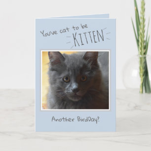 Joyeux anniversaire de la carte de chat