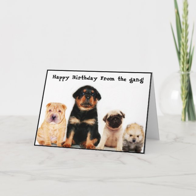 Joyeux anniversaire de la carte de voeux des chiot (Devant)