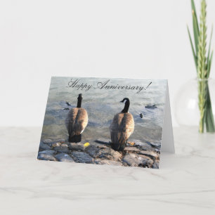 Joyeux anniversaire Deux cartes de voeux d'oies ca