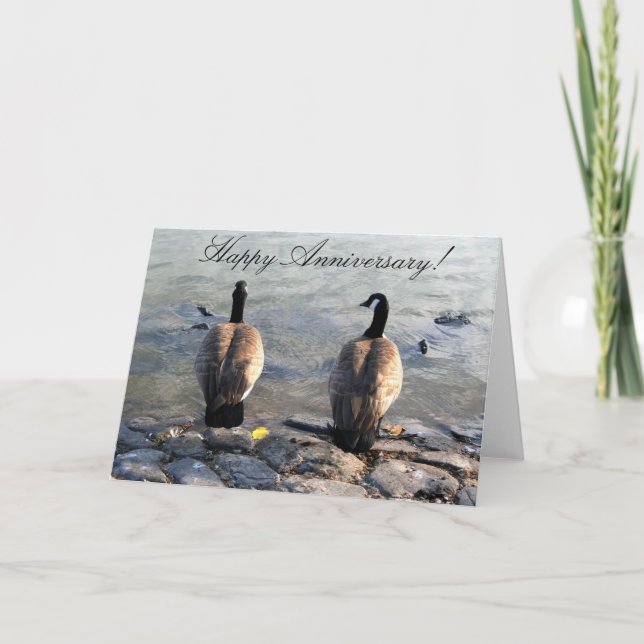 Joyeux anniversaire Deux cartes de voeux d'oies ca (Devant)