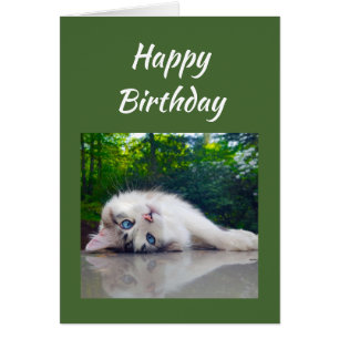 Joyeux anniversaire Funny Chat Humour persectif
