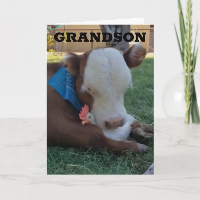 JOYEUX ANNIVERSAIRE ***GRANDSON*** CARTE (Devant)