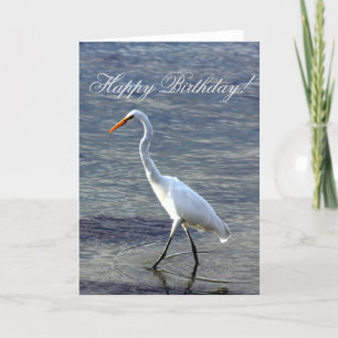 Joyeux anniversaire Great Egret Bird carte de voeu