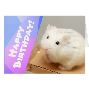 Joyeux anniversaire - Hammyville White Hamster