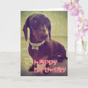 Joyeux Anniversaire jolie carte de chien de saucis
