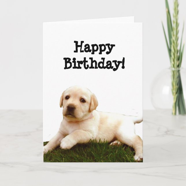 Joyeux anniversaire Labrador chiot carte de voeux (Devant)